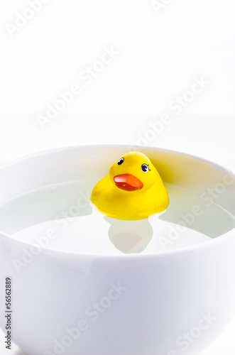 Rubber duck in water