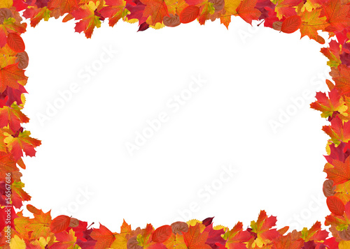 bright autumn leaves frame isolated on white
