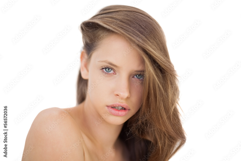 Attentive brunette model posing looking at camera Attentive brunette model posing looking at camera