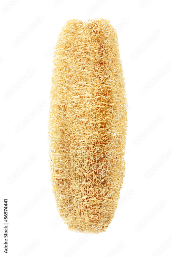 Luffa Sponge Luffa Sponge