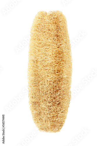 Luffa Sponge