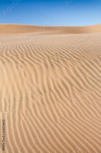 Sand dune of desert