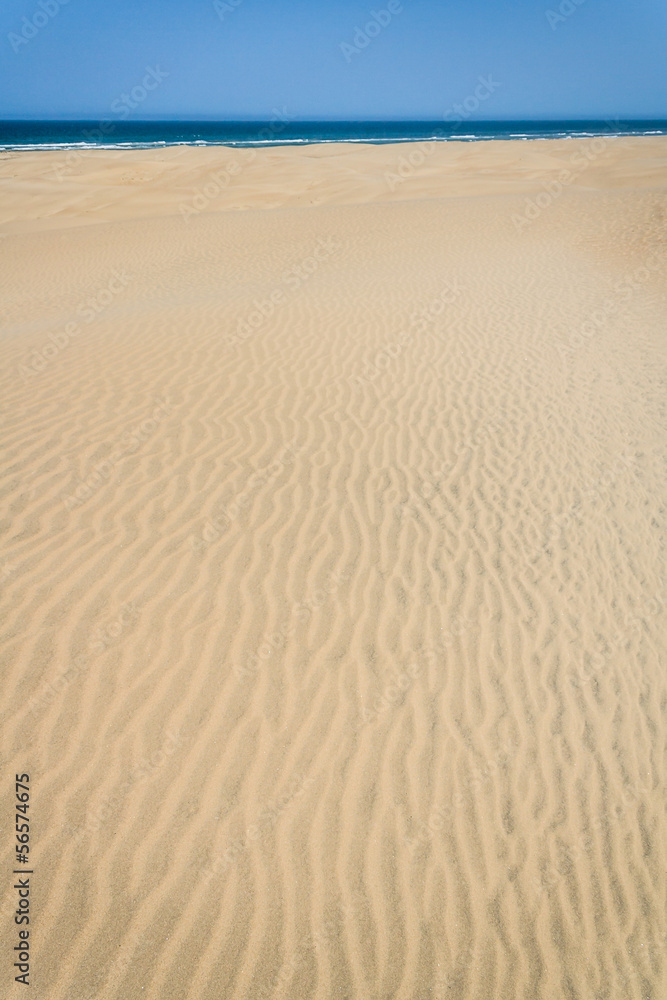 Sand dunes and ocean
