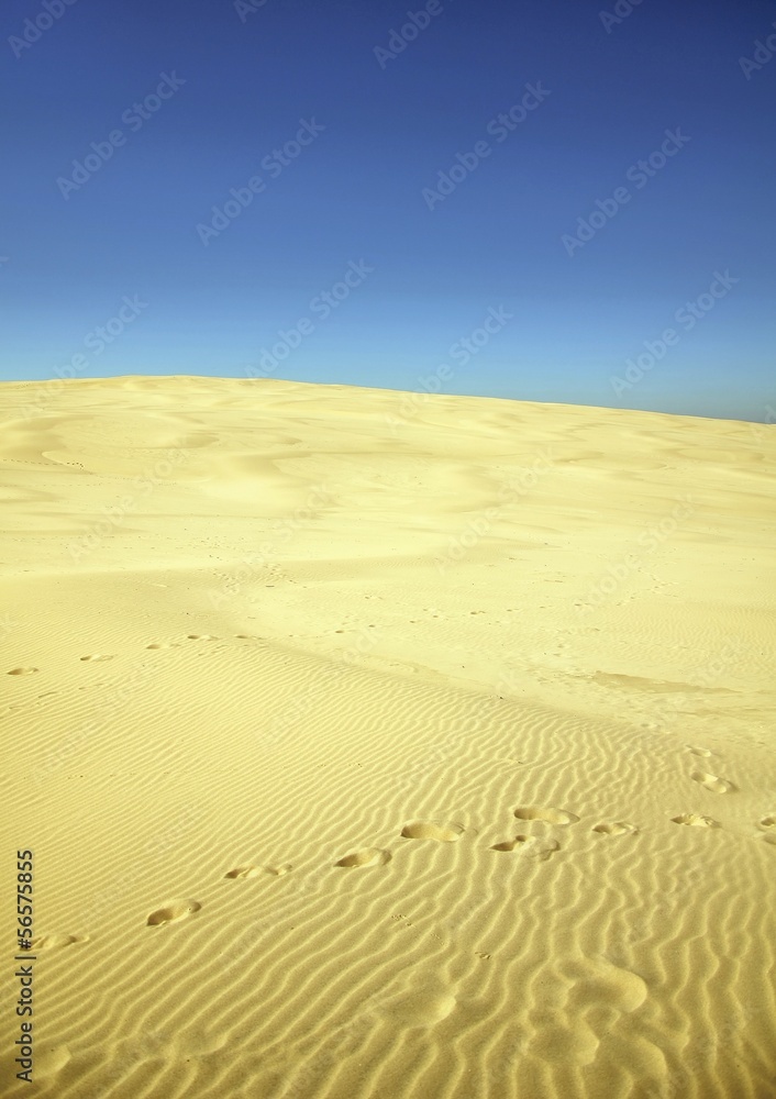 Marsch durch die Wüste