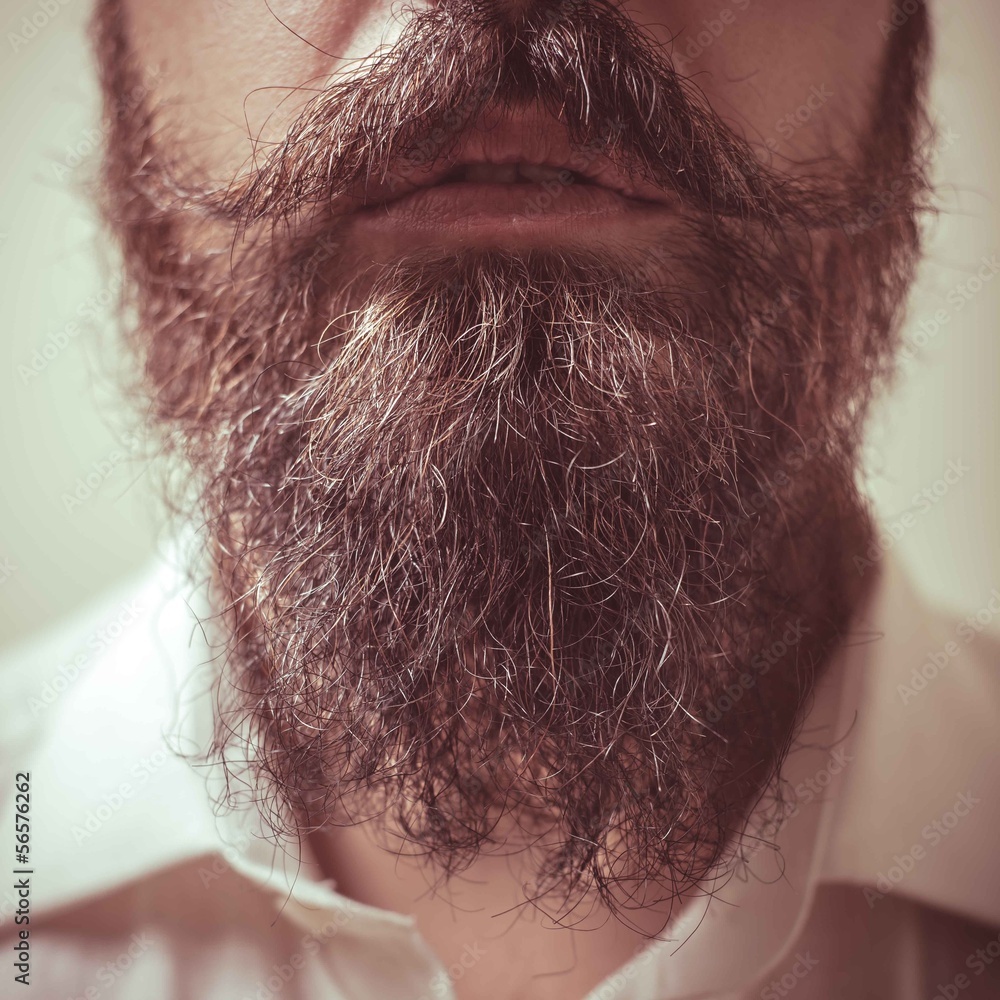 Naklejka premium Close up of long beard and mustache