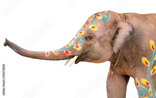 Photography A painted elephant at the songkran festival in ayuthaya ,thailan