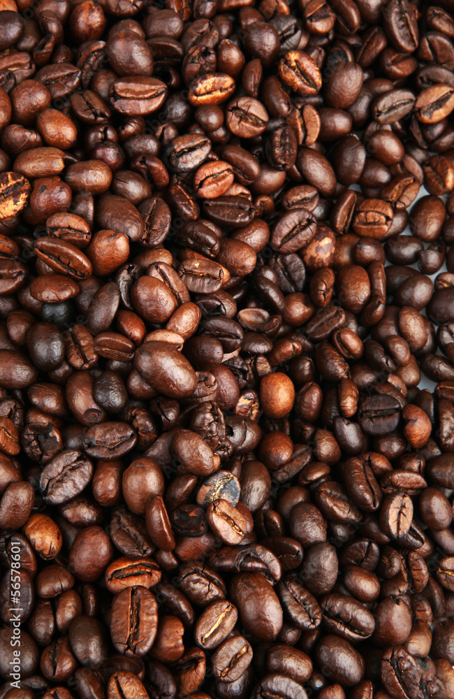 Fototapeta premium Coffee Beans