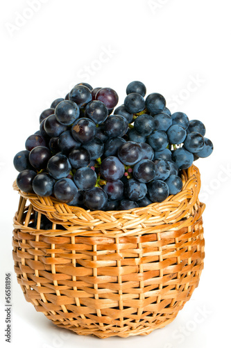 basket with blue grapes