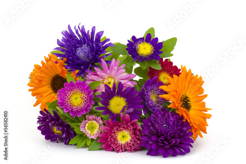 Fototapeta Naklejka Na Ścianę i Meble -  Bouquet of colorful asters flowers on white background