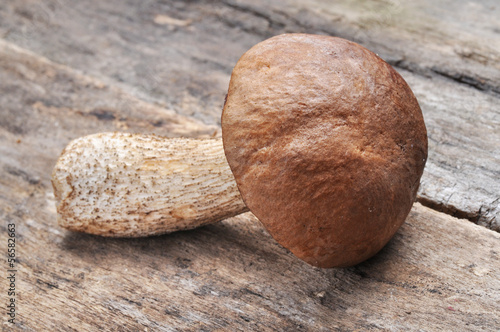 mushroom on wooden table