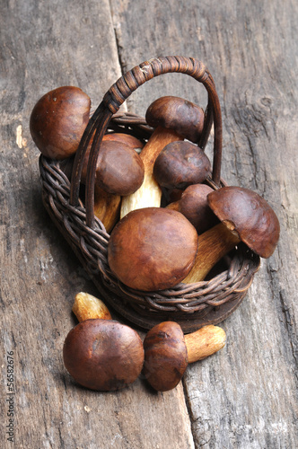 mushrooms on wooden table