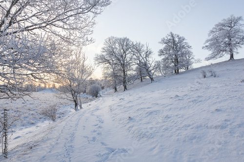Footpath in winter landscape © Lars Johansson