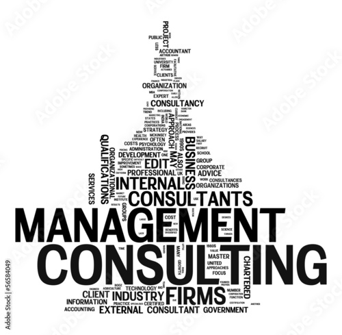 management consulting text cloud