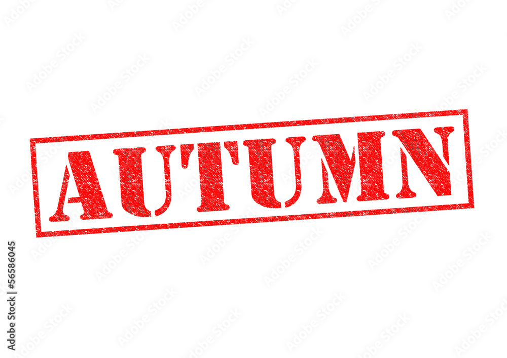 AUTUMN AUTUMN