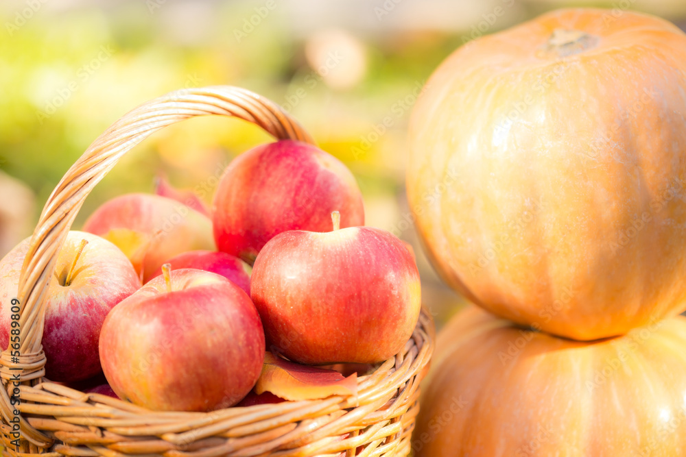 Fruits and vegetables in autumn Fruits and vegetables in autumn