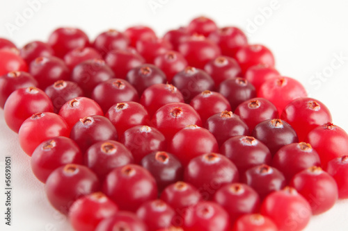 natural background of cranberries