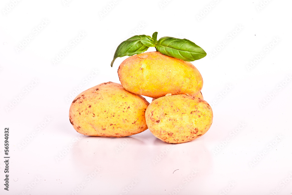 Little yellow patatos sliced on pure white background Little yellow patatos sliced on pure white background