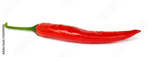 One pod of hot pepper on a white