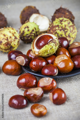 Autumn image of chestnuts