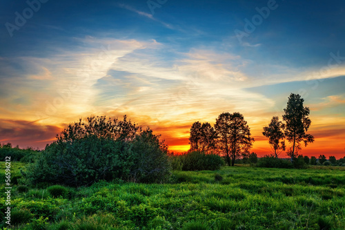 Sunset in summer field © Kushch Dmitry