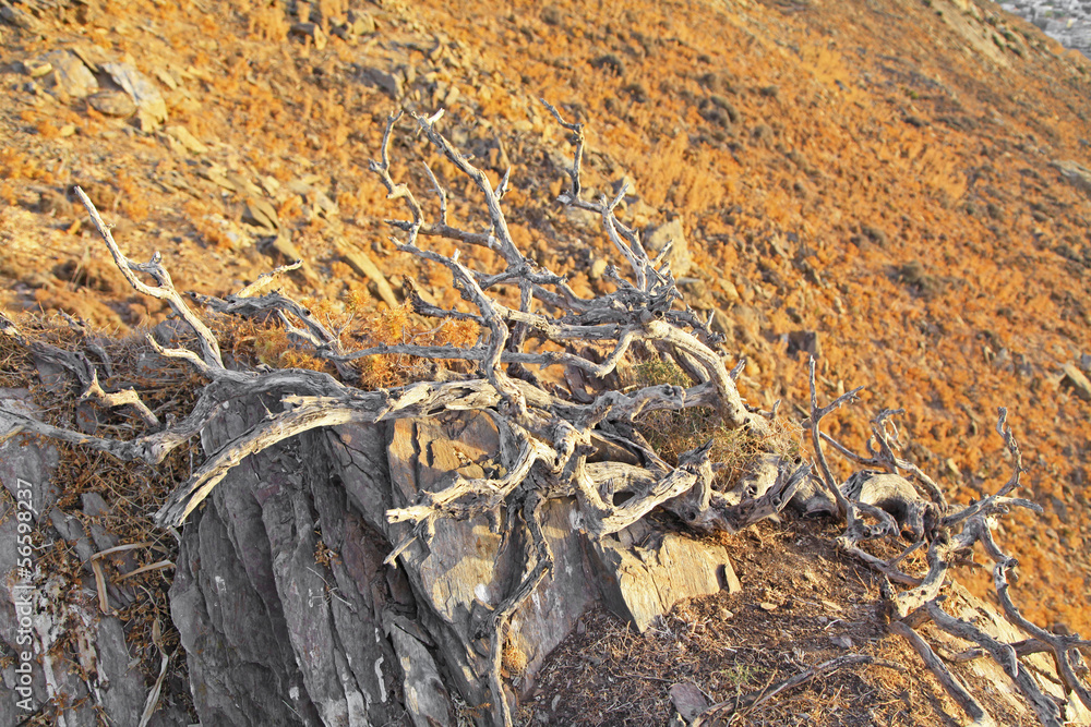 Fototapeta premium Desert at Crete