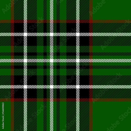 Tartan traditional fabric s...