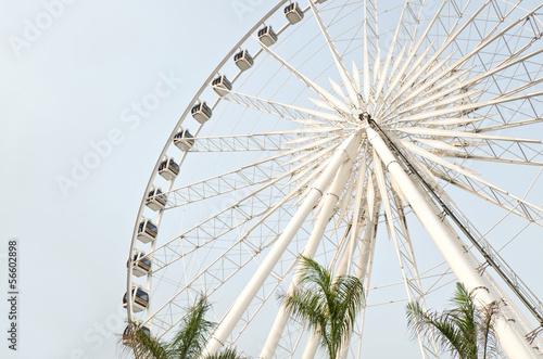 Big ferris wheel