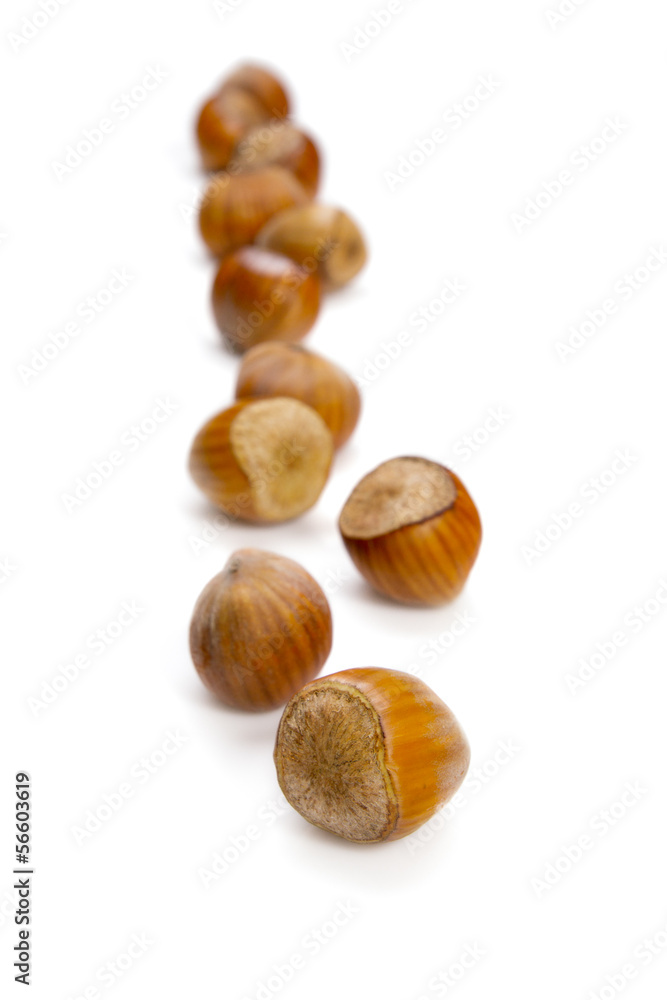Nuts isolated on white background. nuts in row Nuts isolated on white background. nuts in row