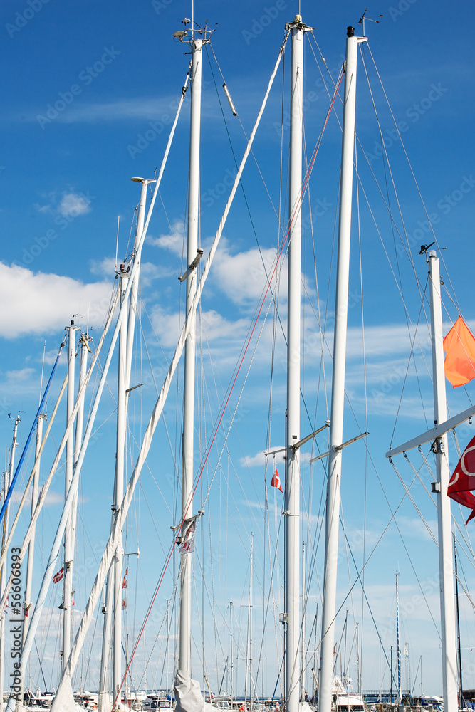 Obraz premium Boat masts