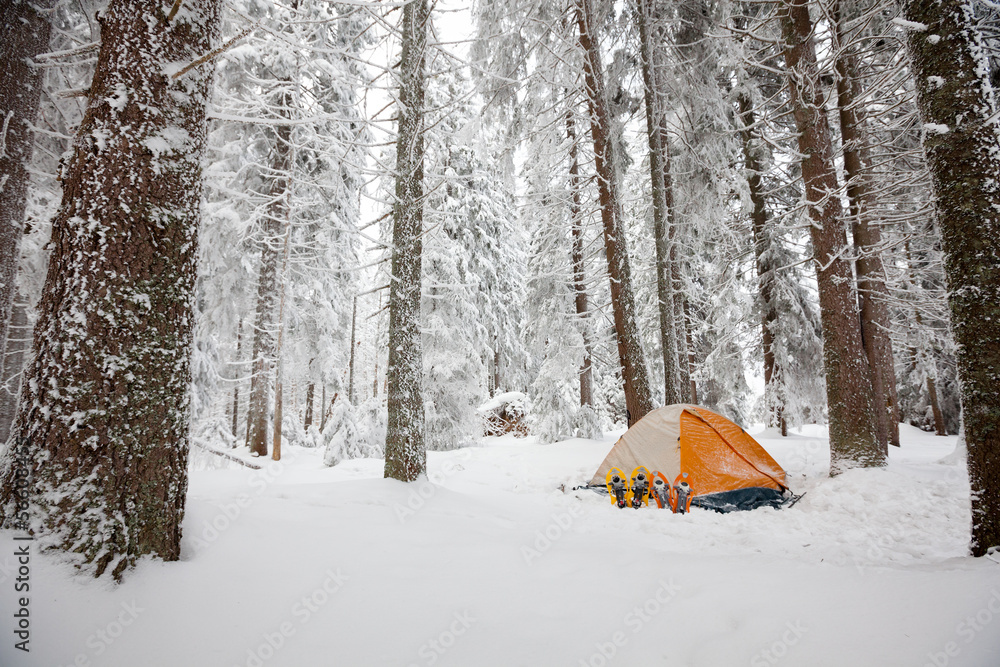 Fototapeta premium Camping during winter hiking in Carpathian mountains