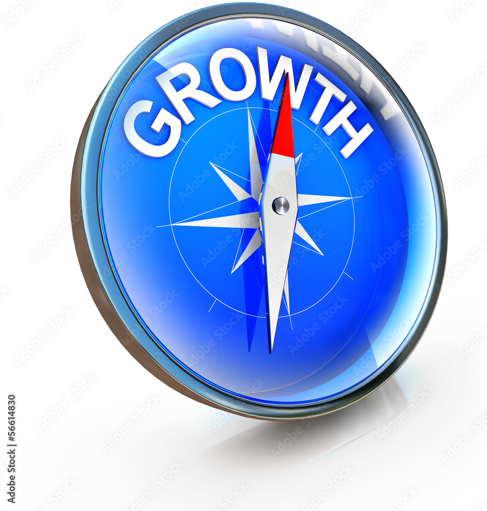 GROWTH GROWTH