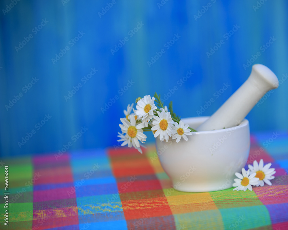 Chamomile herbs in a mortar, Alternative medicine Chamomile herbs in a mortar, Alternative medicine