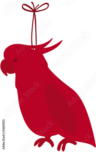 noel perroquet rouge