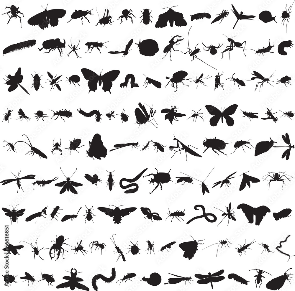 set of more than a hundred insects - obrazy, fototapety, plakaty 