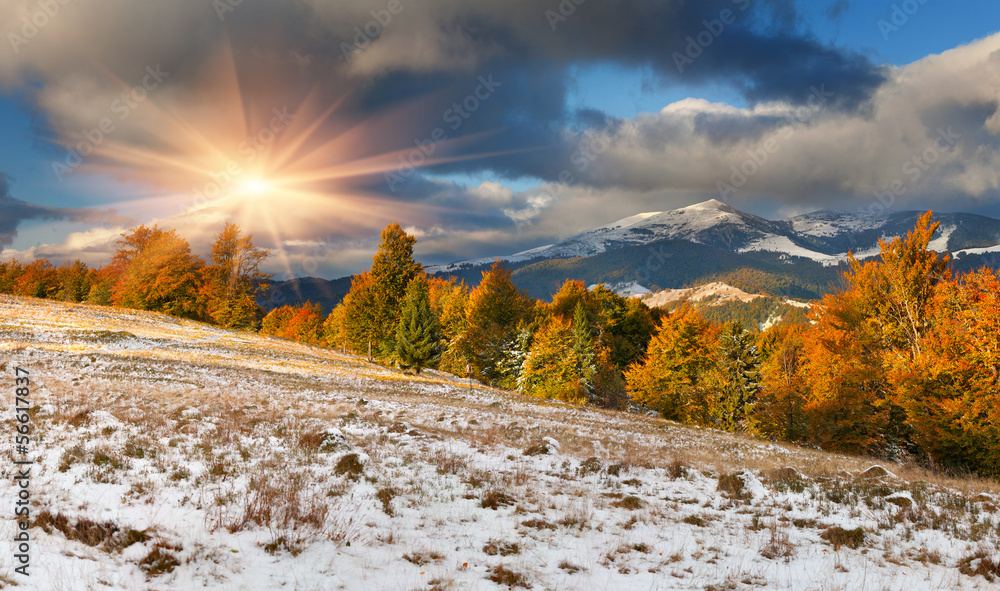 Colorful autumn landscape in the mountains. First November snow - obrazy, fototapety, plakaty 