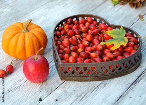 Impressionen im Herbst
