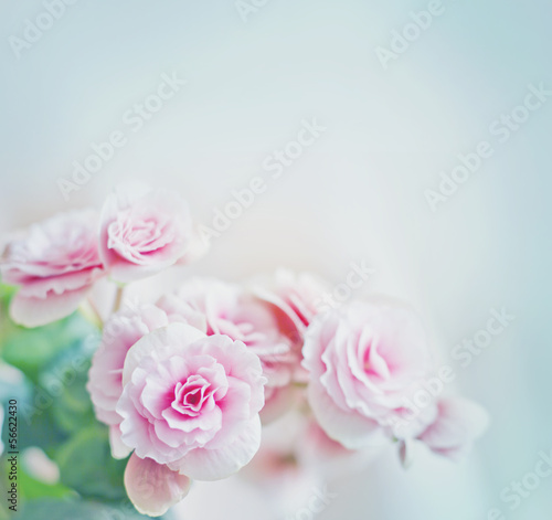 Roses in vintage style Pink flower background
