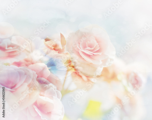Fototapeta samoprzylepna  romantyczne róże w stylu vintage