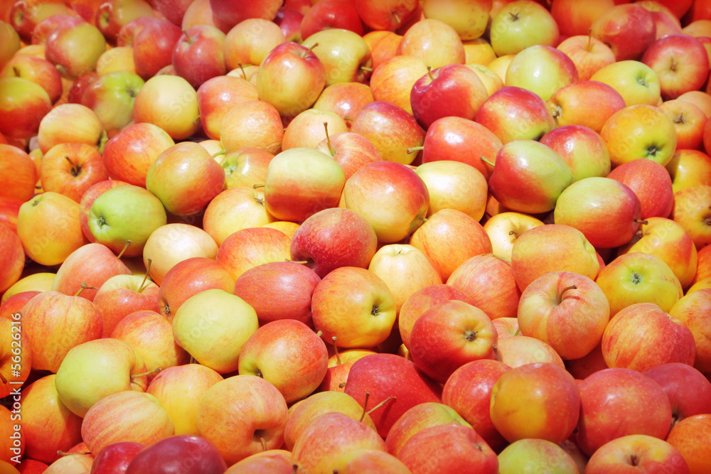 Apples Apples