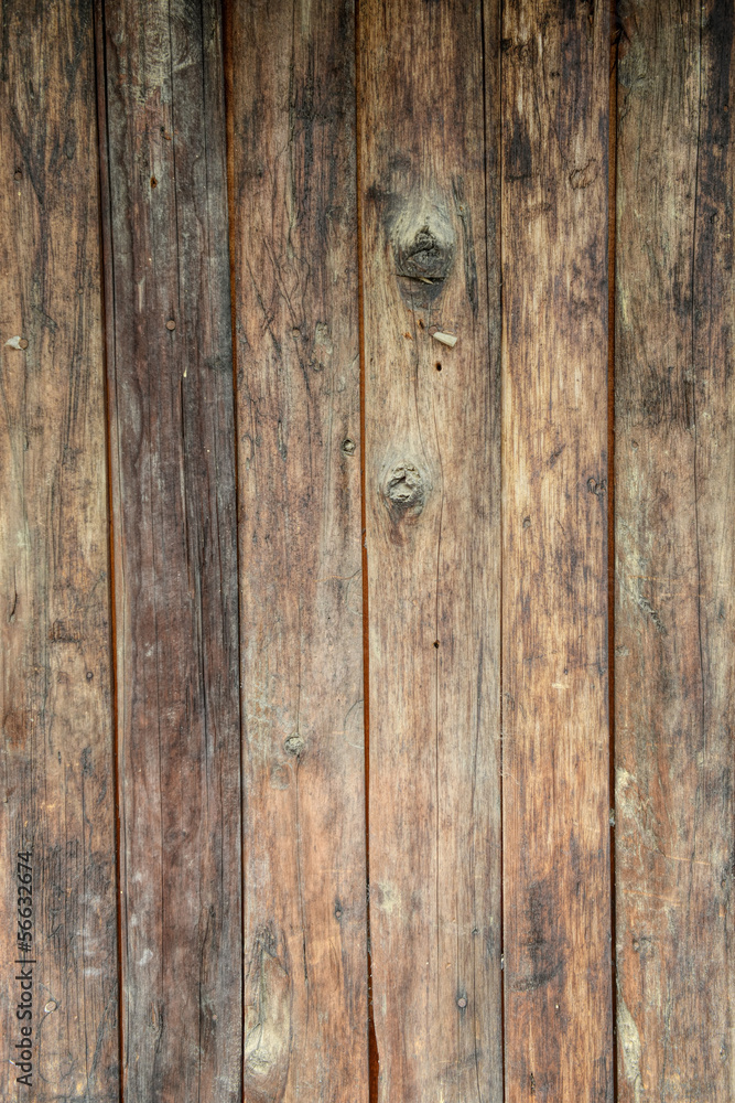 tree wood textures tree wood textures