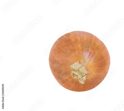 Red onion over white background