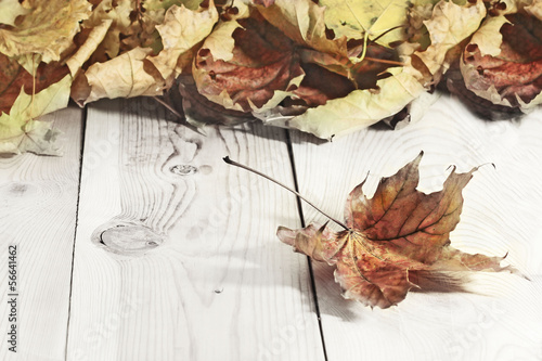 Obraz na plátně Autumn Leaves over wooden background