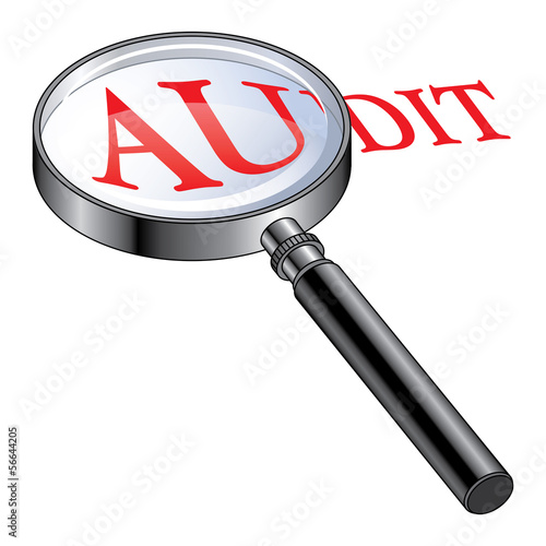 Audit Magnified