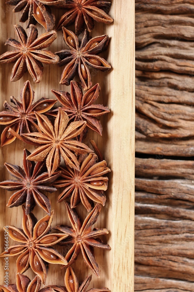 Fototapeta premium Star anise