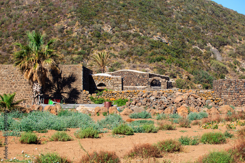 Plantation, Pantelleria photo