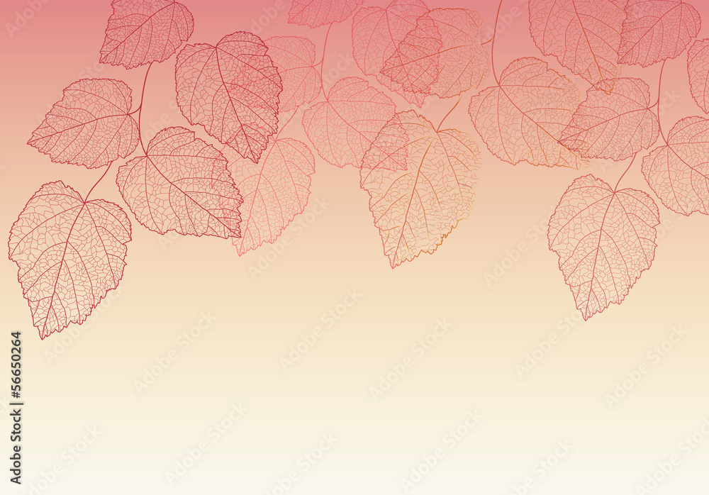 Nature background with leave vector