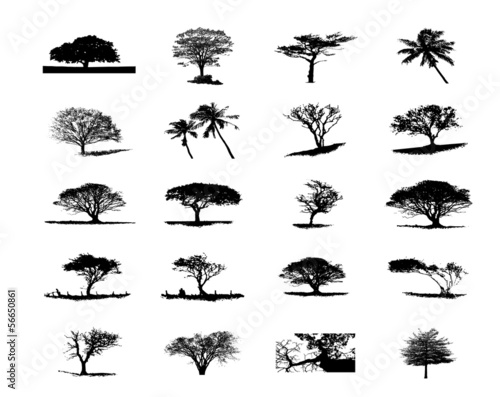 tree silhouette vector