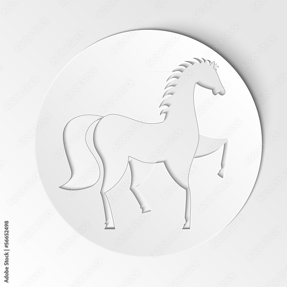 Obraz premium white horse