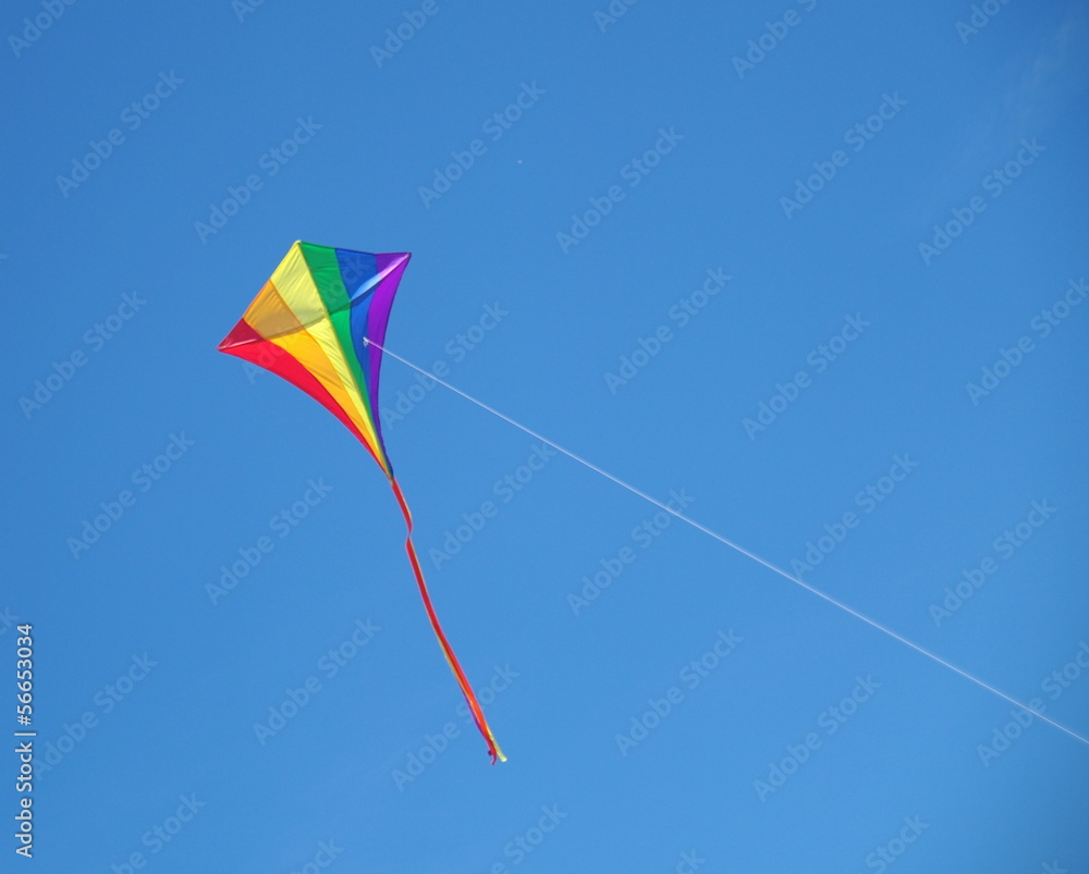 cerf volant cerf volant