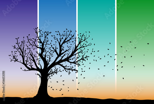 Autumn tree silhouette